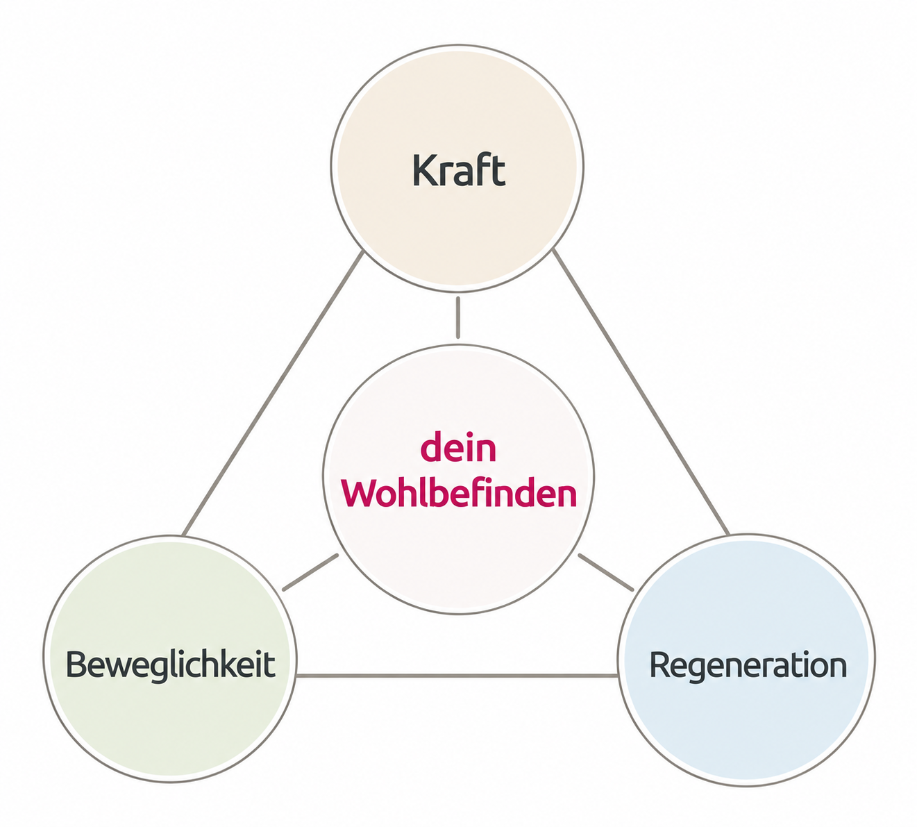 Kraft, Beweglichkeit und Regeneration als Bausteine für dein Wohlbefinden